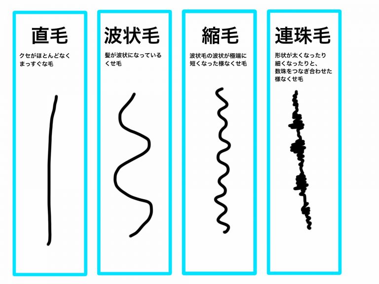 くせ毛を4種類から判断できる！髪のくせ毛診断をイラスト付きで解説！ 【髪質改善トリートメント】江東区 清澄白河の美容院 つむぎ